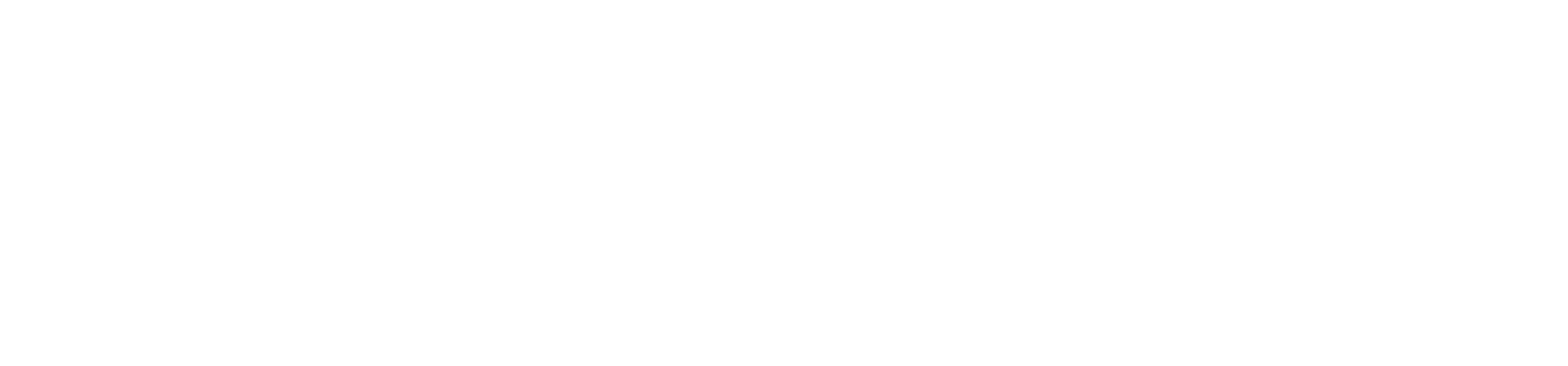 PEAK Security